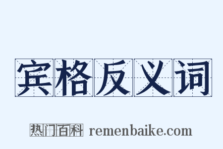 宾格反义词是什么意思的图片